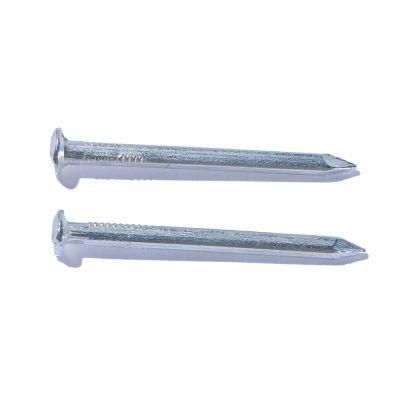 Vietnam Philippines Singapore Market/Electro Galvanized Square Boat Nails for Boat Hot Dipped Galvanized Square Boat Nails
