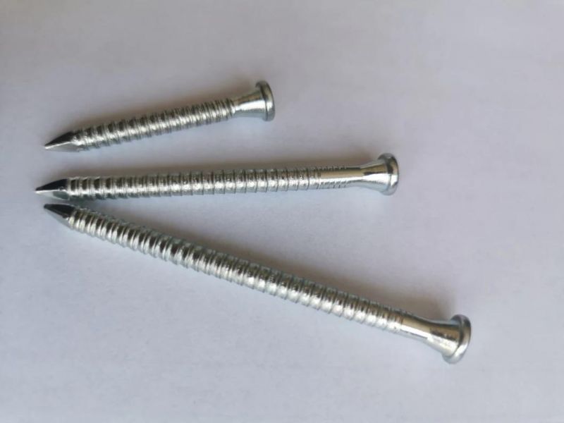 Plain Head Full Ring Shank Nails Anchor Nails