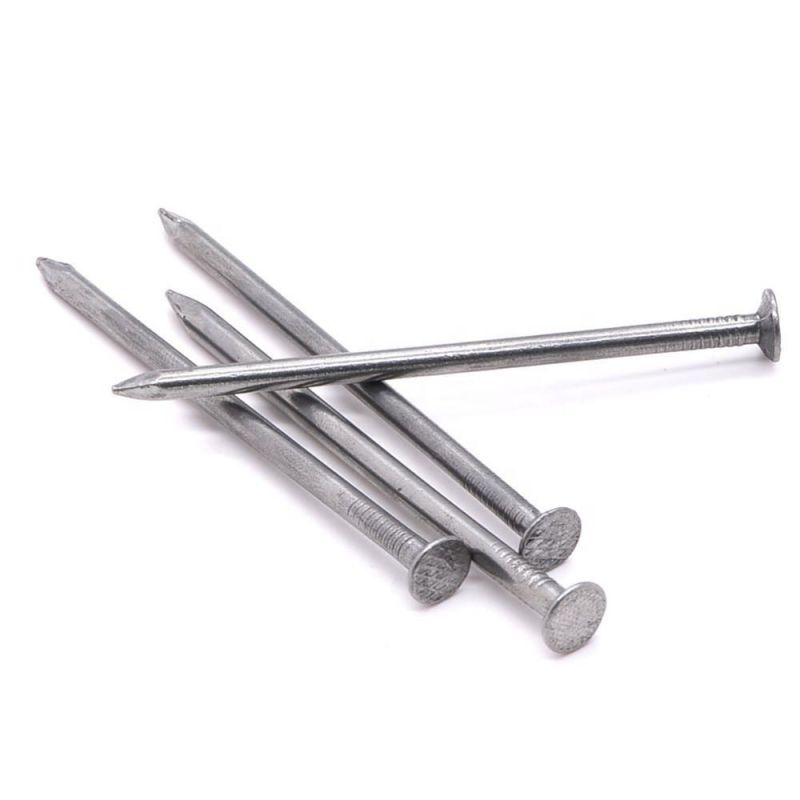 Angola Ethiopia Market/Construction Electro Galvanized Common Wood Wire Nails Nail