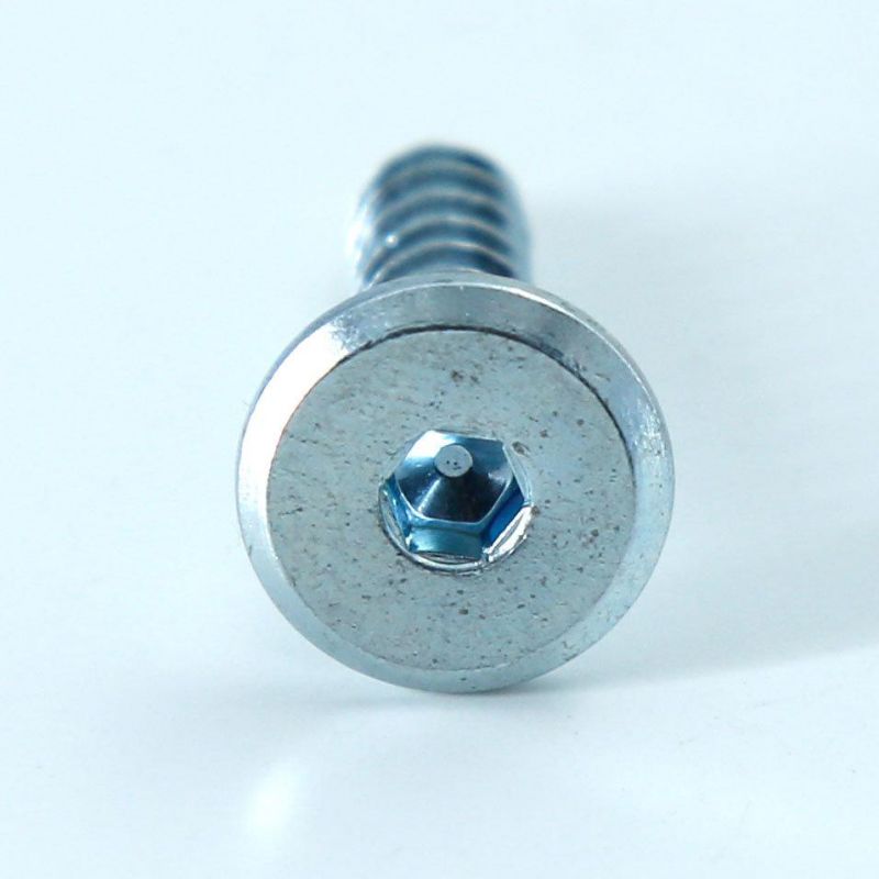 China Factory Stainless Steel Flat Head Hex Socket Self Tapping Screws