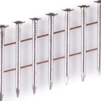 Smooth Screw Ring Shank Coil Nails Manufactory
