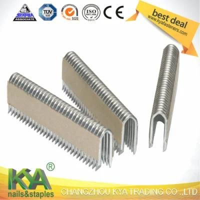 1-9/16-Inch Fence Staples for Wire Fence