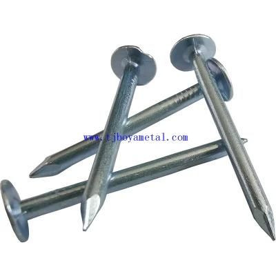 Zinc Plated Clout Nail Cupper Nail with High Quality Nails Construction