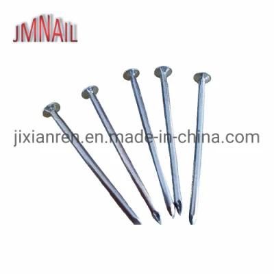 2 Inch Electric Galvanized Wire Nail