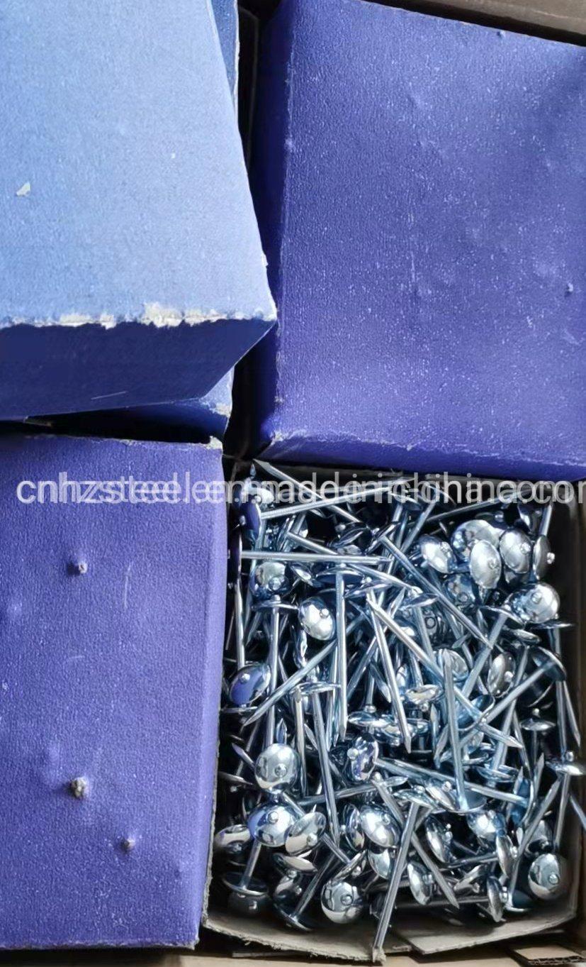 China Factory Price Iron Nail / Electro Galvanized Umbrella Head Roofing Nail