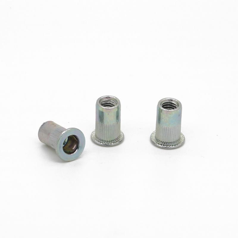 Round Head Rivet Nut M3 M12 Made in China