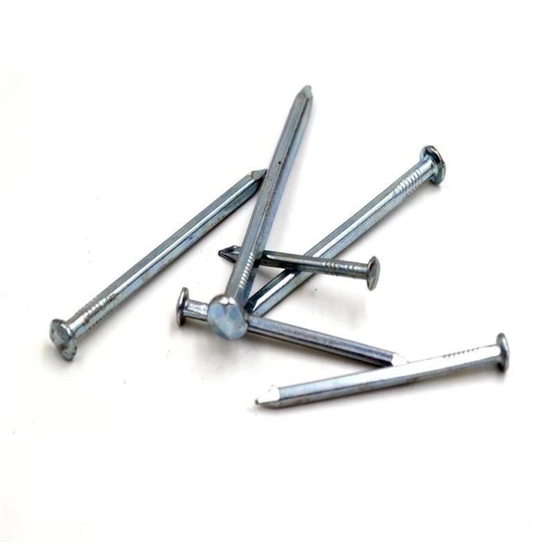 Thailand Laos Vietnam Philippines Singapore Market/Electro Galvanized Square Boat Nails