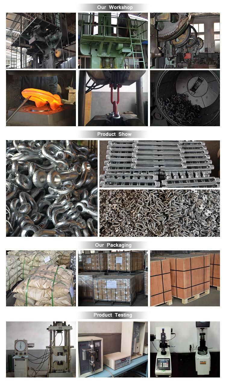 Wholesale Hardware Rigging DIN580 Carbon Steel Drop Forged Galvanized Lifting Eye Bolt with Metric Thread