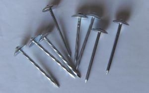 Galvanized Roofing Nails Twisted Shank Smooth Shank with Umbrella Head Twisted Shank Smooth Shank