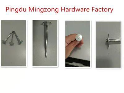 Flat Head Roofing Nails with Spiral Shank