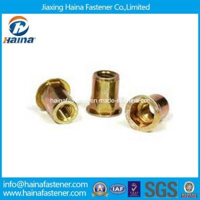 Flat Head Inner-Hex Body Rivet Nut M3-M12 Made in China