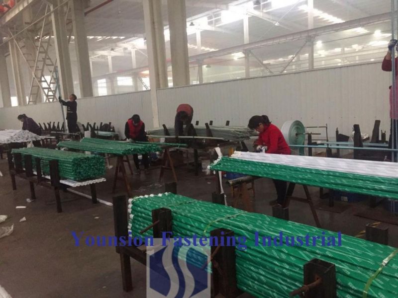 PTFE Blue Red Color Coating Painted DIN 975 Standard Carbon Steel Metric Size Threaded Rod