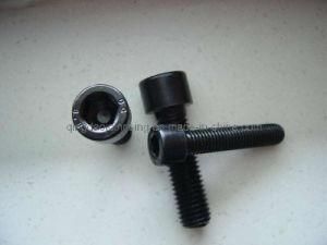 Allen Cap Screws