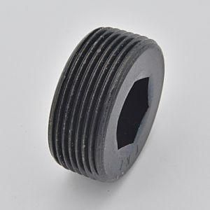 Hex Socket Black Pipe Plug Screw (CZ219)