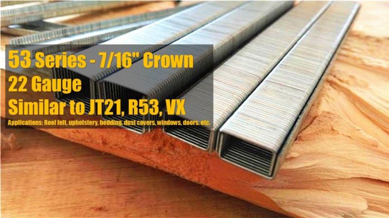 22ga 53/10 Series Galvanized Staples Factory Supply