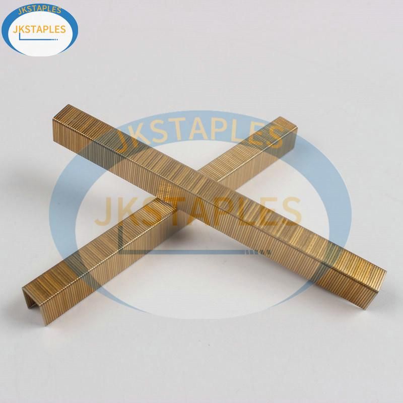 20 Ga 1008j Industrial Galvanize Wire Staples Pin for Wood