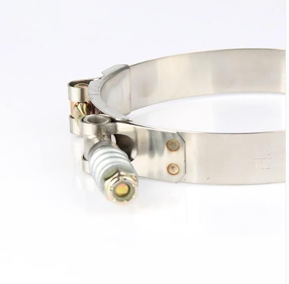 Made in China T-Bolt Spring Loaded Clamps