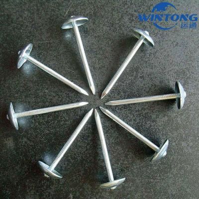 Supply Galvanized Umbrella Head Roofing Nails Umbrella Weight Roofing Nails with Galvanized Coating