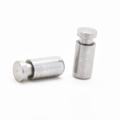 Stainless Steel Automobile Screws