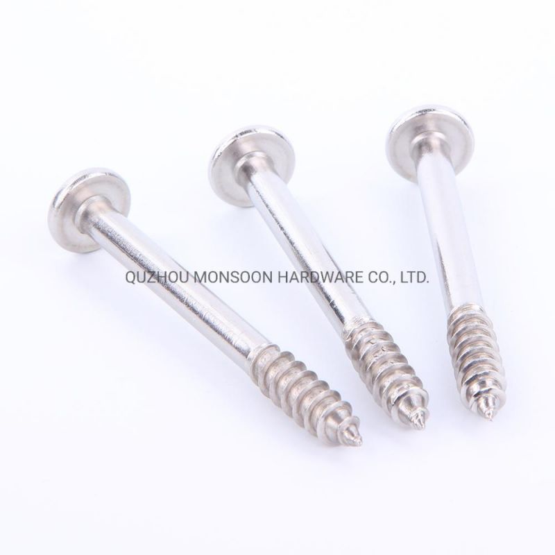 Stainless Steel Lag Screws