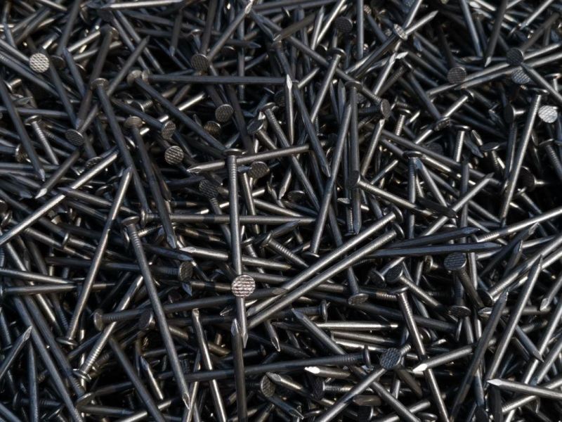 Best Price Harden Phosphated Self-Drilling Screw