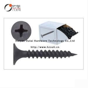 Good Quality Drywall Screw Self Tapping Nail Black Screw for Sale Construction and Decoration