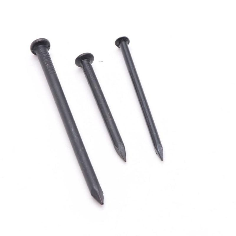 Manufacturer Customized Angular Black Steel Concrete Nail Nails Galvanized