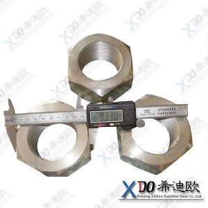 Duplex 2205 DIN Standard Hex Nut