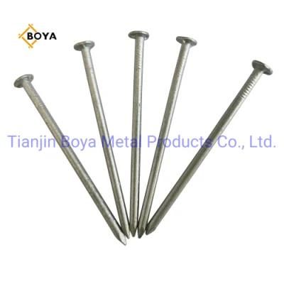 Best Quality Common Nail/Hot Dipped Iron Nail