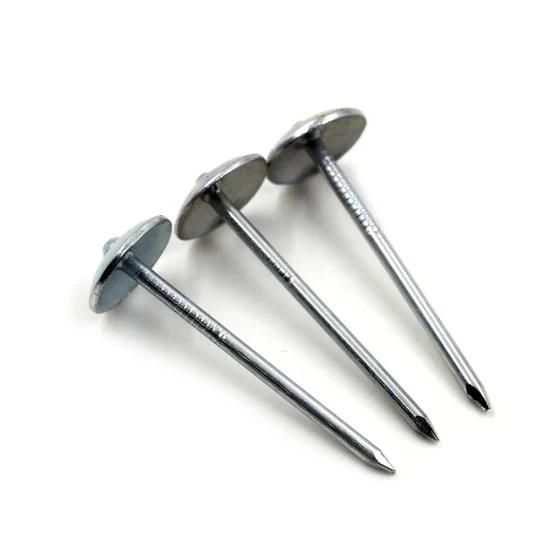 Hot Selling Electric Galvanized Plian Shank Roofing Nail