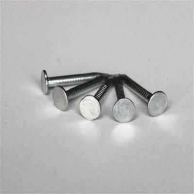 Electric Galvanized Linoleum Nail with Ring Pattern