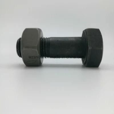 Ppap Level 3 Black Finish Hex Head Bolt and Nut