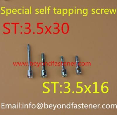 Special Screw Special Bolts Terminal Cover Screw