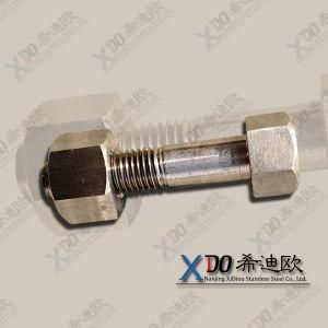 Alloy59 Uns N06059 Stainless Steel Fasteners Hex Bolts &amp; Nuts En2.4605