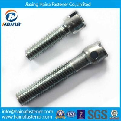 Custom Carbon Steel Gr4.8 Cabinet Screw Furniture Screw