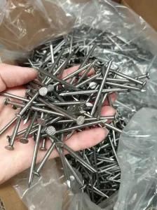 Shandong Fastener Factory of All Sizes Common Wire Nail