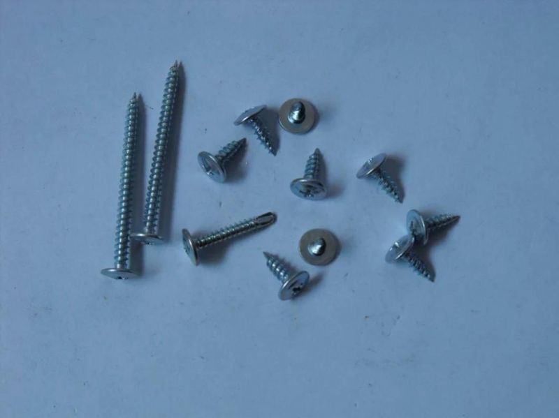 Carbon/Stainless Steel Machine Screw/ Self Tapping Screw/ Chipboard Screw/ Drywall Screw/ Self Drilling Screw