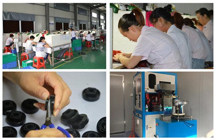 High Temperature Fluororubber Gaskets for Industrial Component