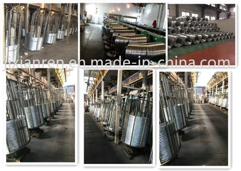 20d Hot Dipped Galvanized Common Nails