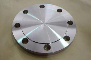 Blind Flange En1029-1 05b