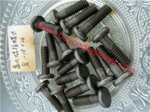 Step Screw Big Head Screw/Step Bolts/Special Bolts