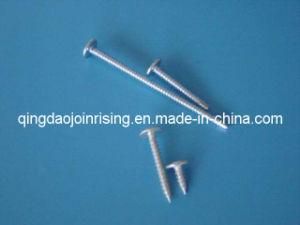 Wafer Head Screws