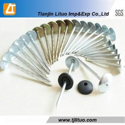 Umbrella Head Roofing Nails with Rubber Washer