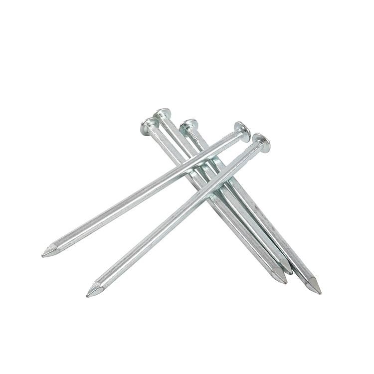 Thailand Laos Vietnam Philippines Singapore Market/Galvanized Square Boat Nails Copper Nail for Boat
