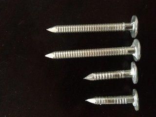 Ring Shank Roofing Nails Electrol Galvanized Tianjin Factory