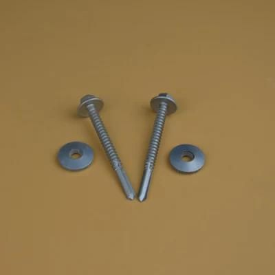 Screw/Ruspert Screw/Self Drilling Screw/Double Thread Screw