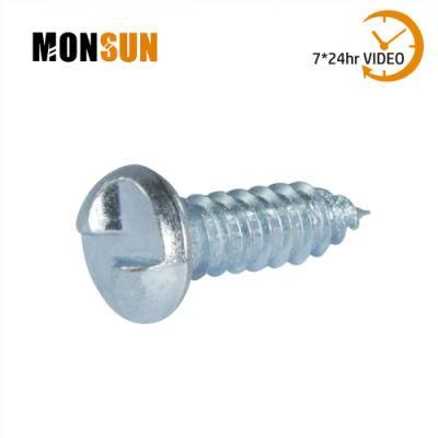 Zinc Plated Tamper Resistant One Way Round Head Sheet Metal Screw