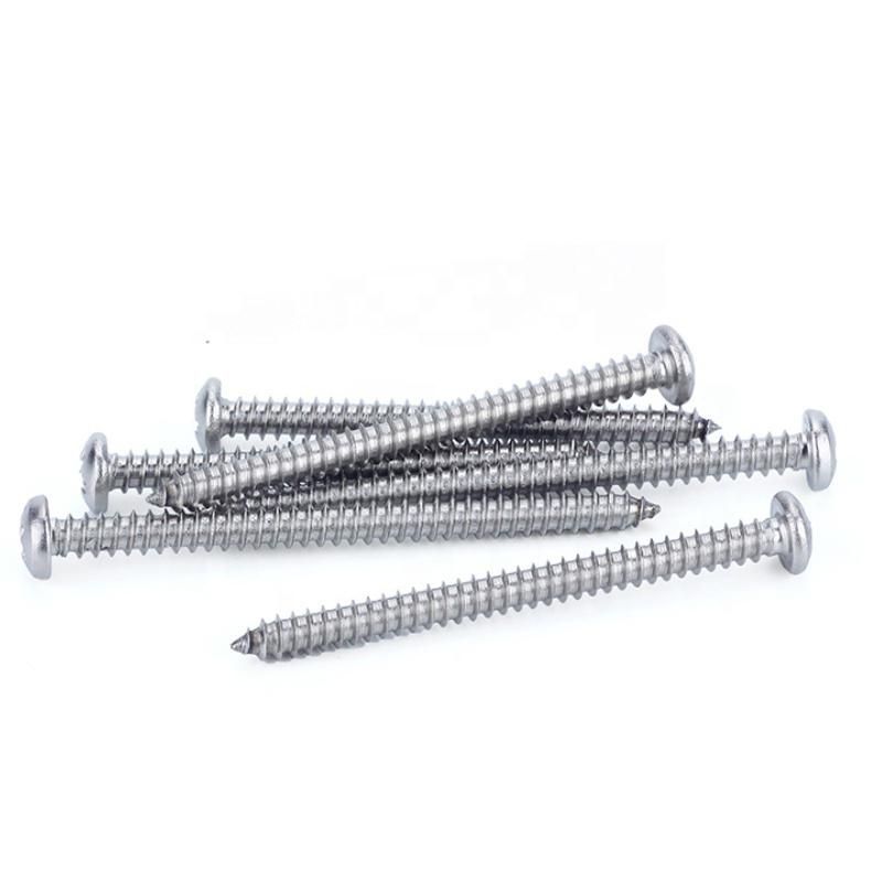 Stainless Steel 316 Tapping Screw Ss 304 DIN 7981 Pan Head Self Tapping Screws A2 Tapping Screws A4 Tapping Screws