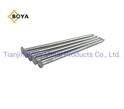 Polished /Galvanized /Hot Dipped Iron Nail