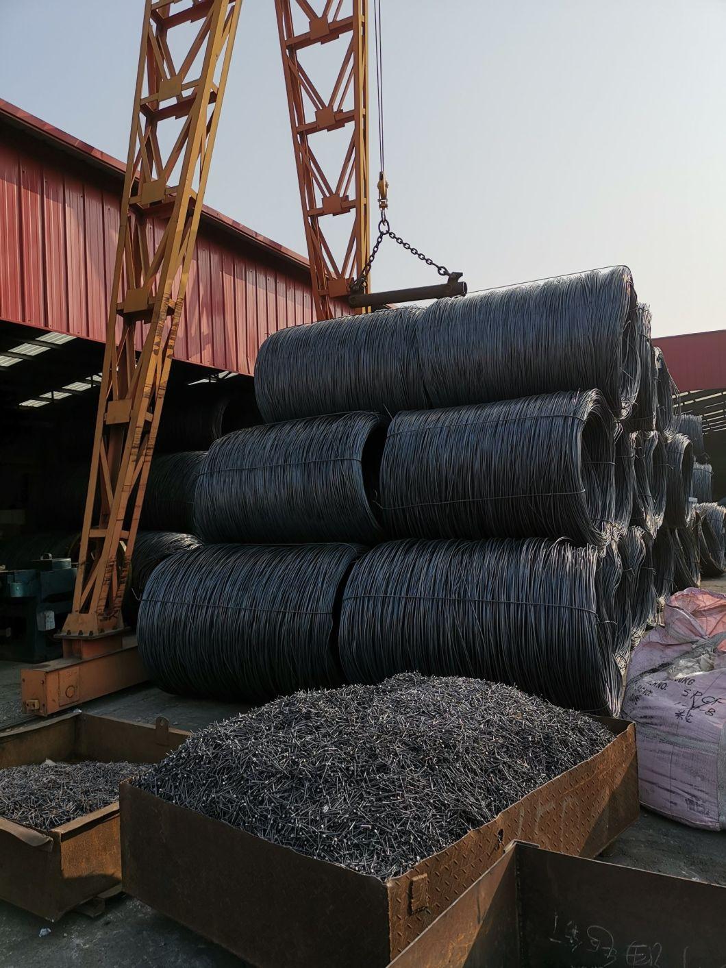 China High Standard Pallet Coil Nail for Wood